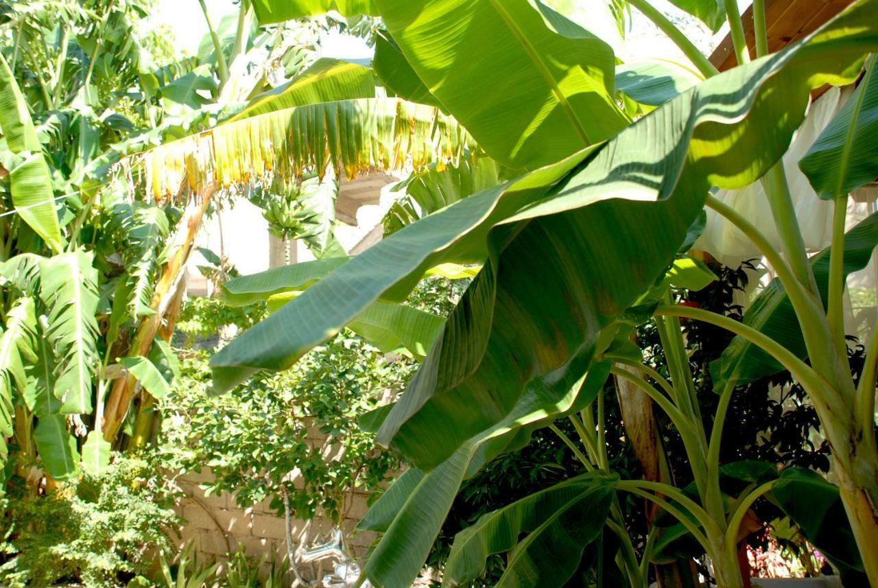 Villa Mucho Saranda Extérieur photo